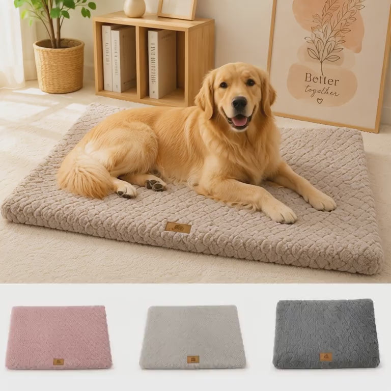 CloudRest Orthopedic Pet Bed